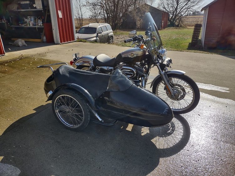 HD883 - Easy Rider - Image 3