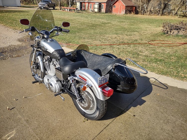 HD883 - Easy Rider - Image 2